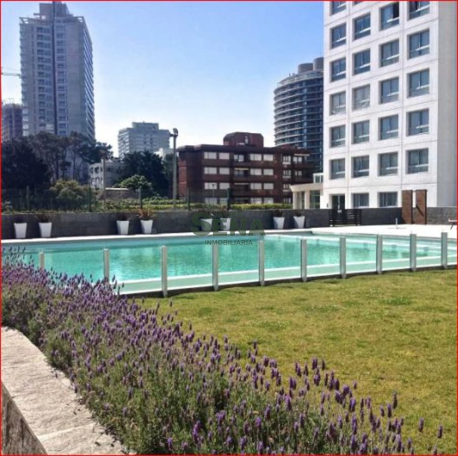 Alquiler de apartamento en la Roosevelt, 1 dormitorio y medio, baño, piscina, balcon, buena vista.