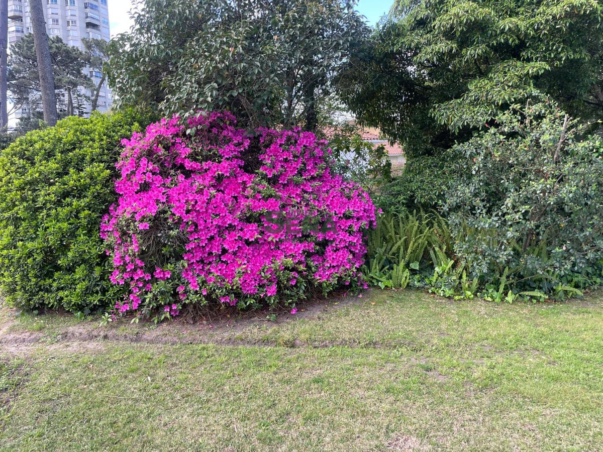 venta de chalet 5 dormitorios,4 baños, 3mil m2 de parque 350 m2 construidos.