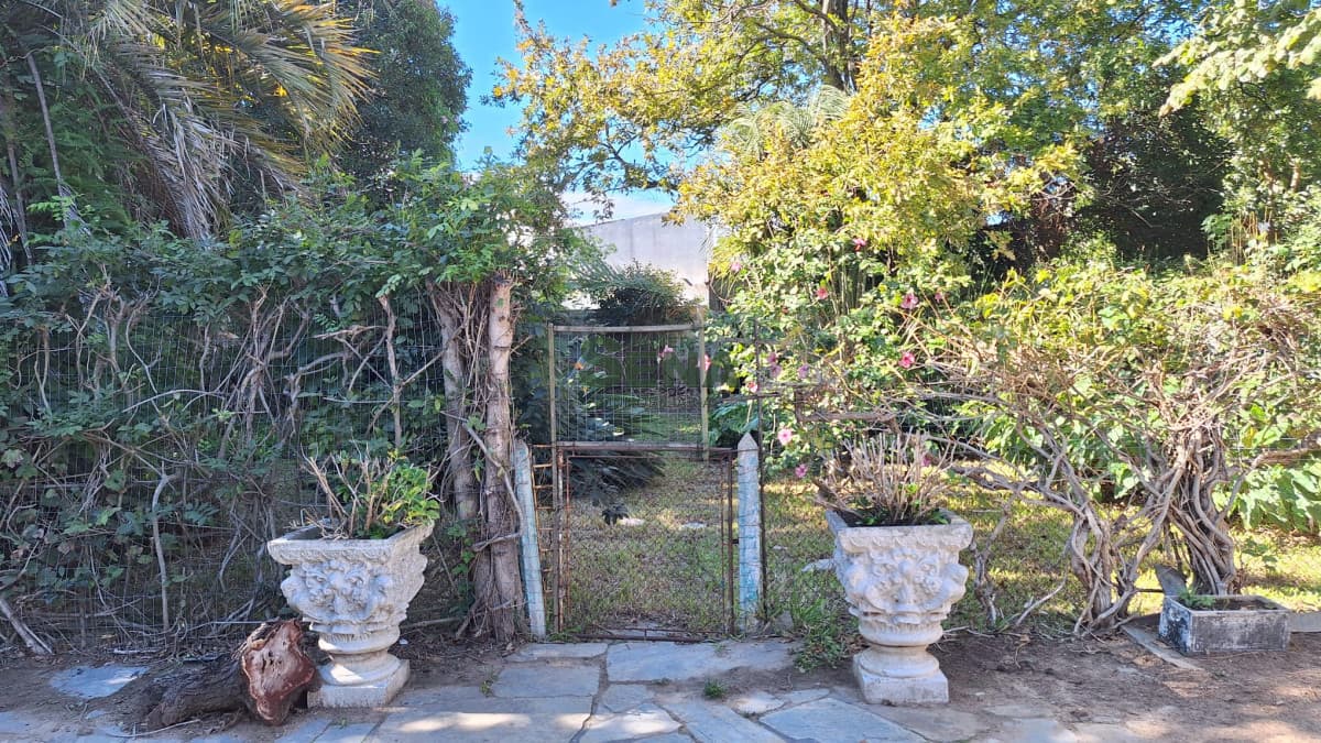 Venta de casa 2 dormitorios, 2 baños,  600m2 de terreno en centro de Maldonado