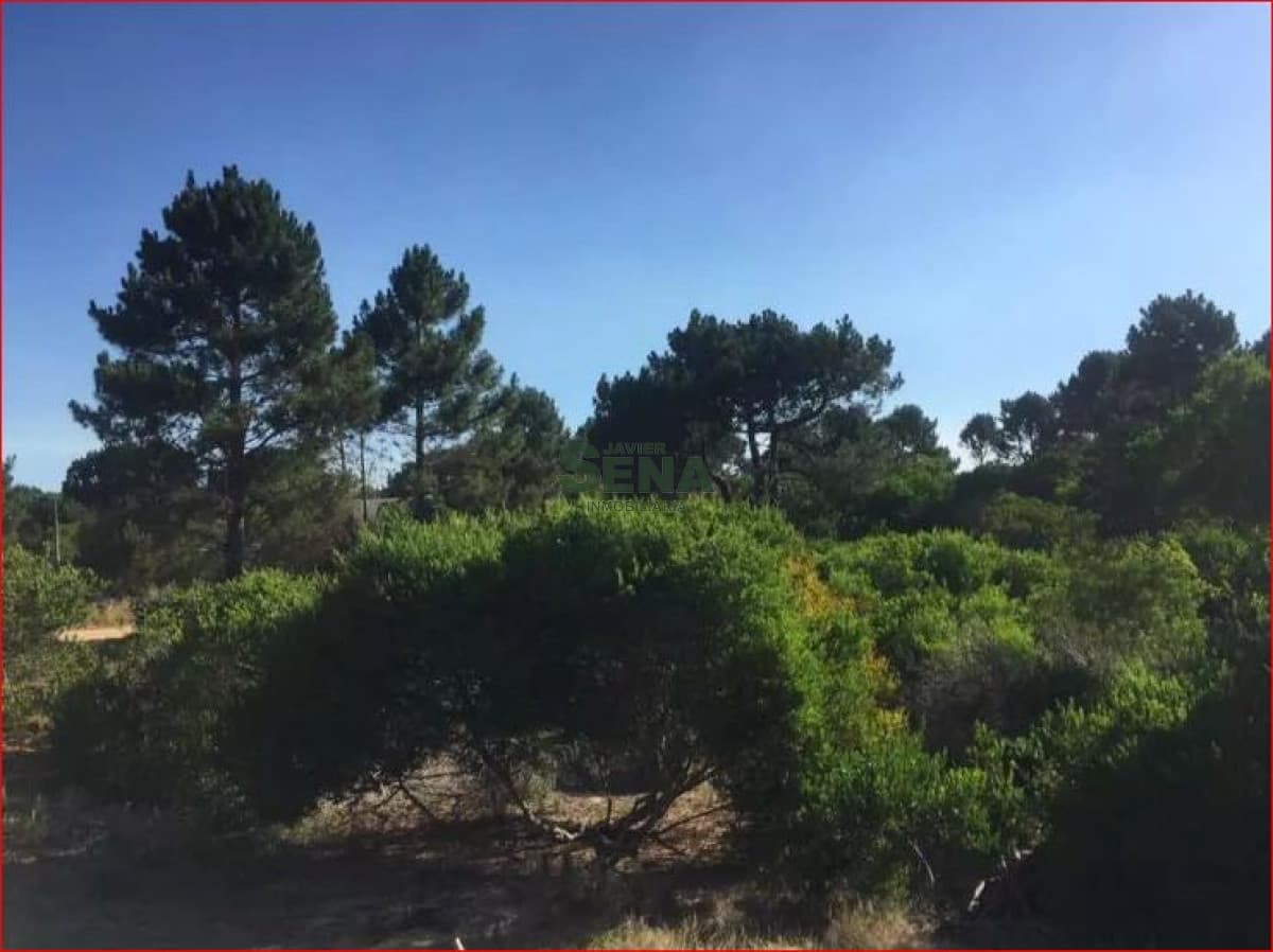 Venta de Lof en Arenas de Jose Ignacio, muy buen lugar para descansar.
