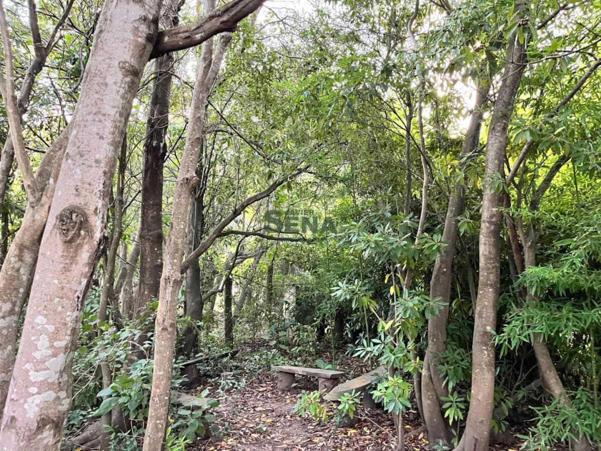 Venta de casa en punta ballena, 3 dormit, 2 baños, para vacacionar, buen lugar.