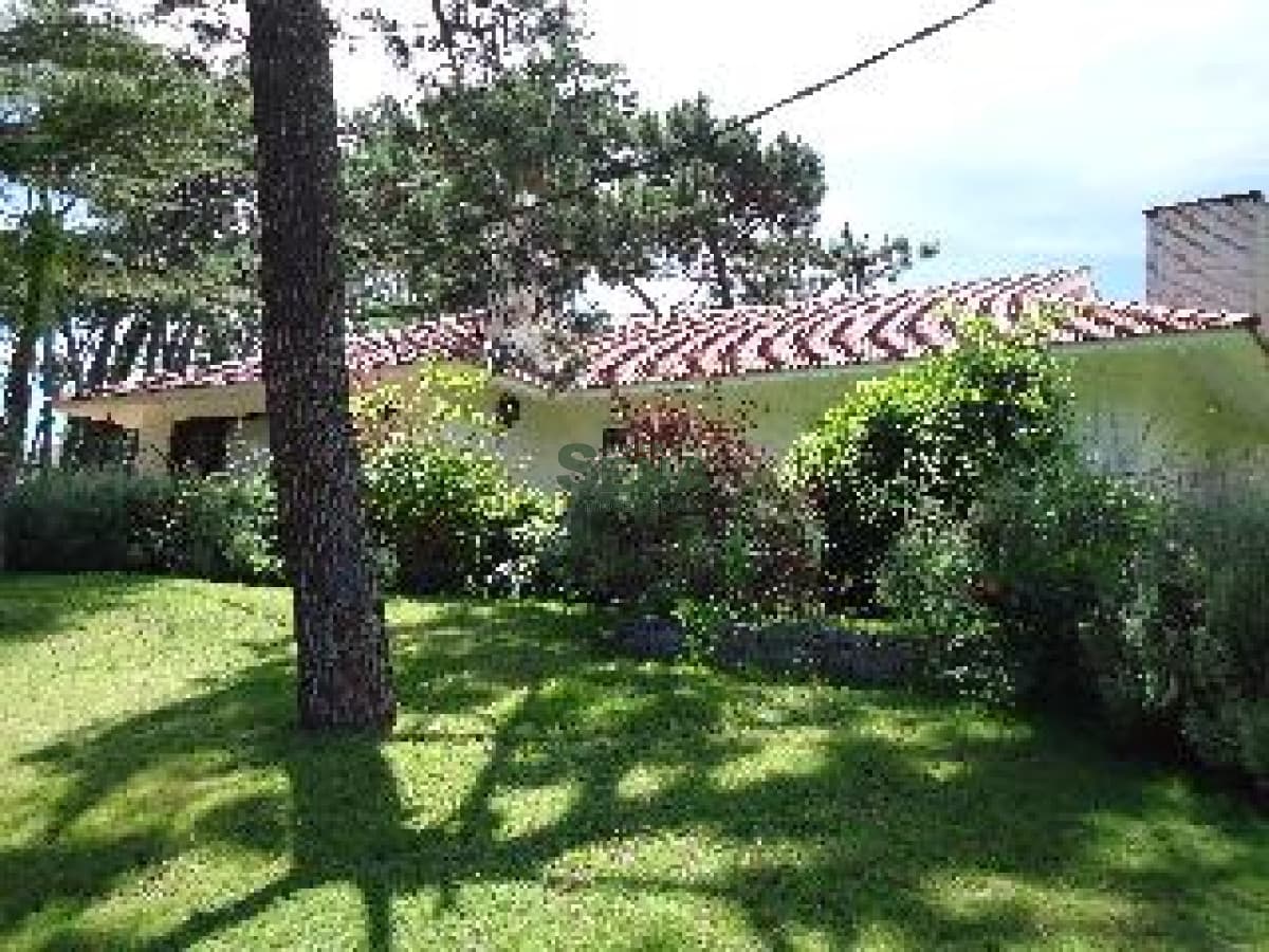 Venta y alquiler en MANSA, 3 DORMITORIOS, 3 BAÑOS, BUENA CONSTRUCCION.