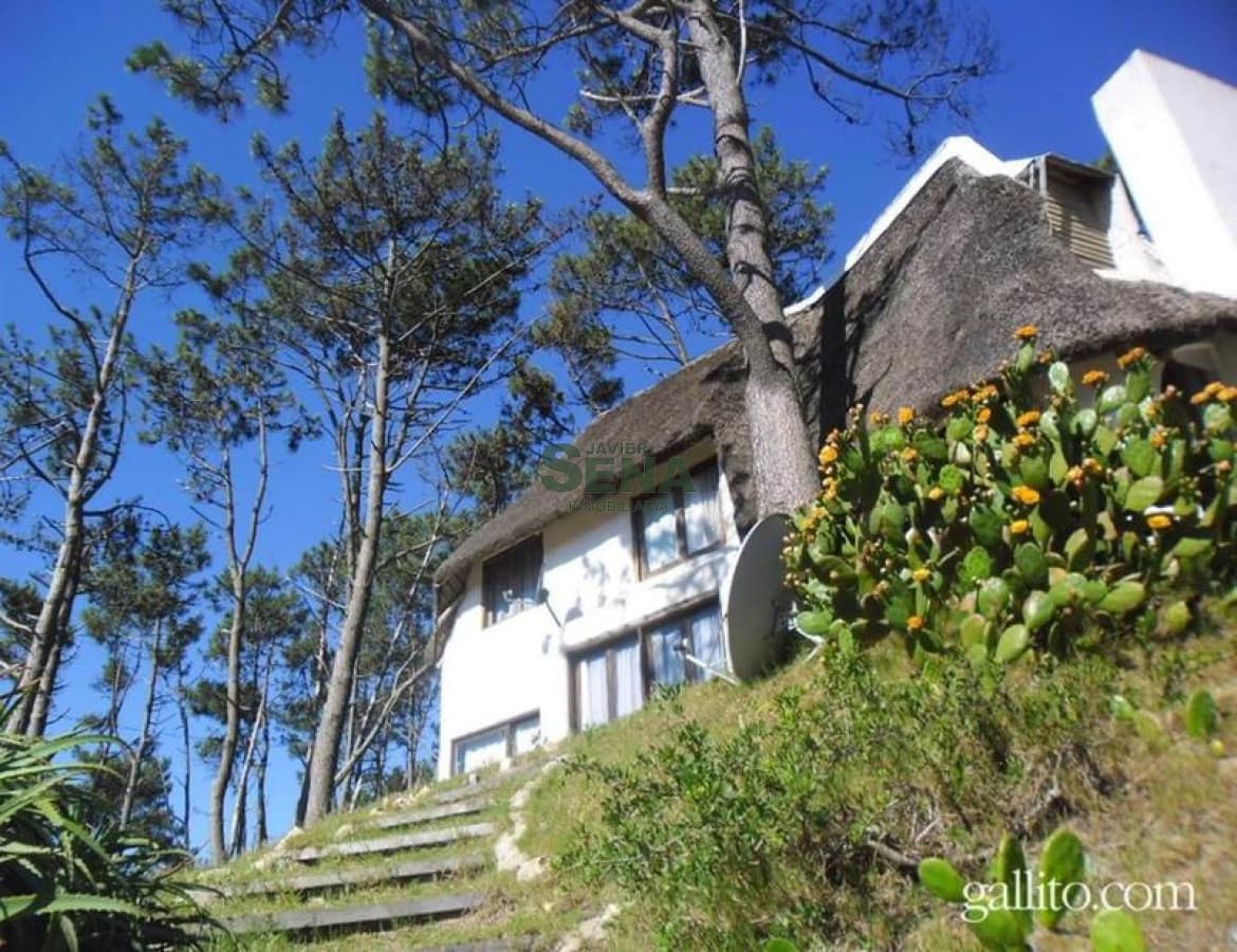 Venta y alquiler en la Mansa, casa de 4 dormitorios, parada 46 linda cabaña para descansar.