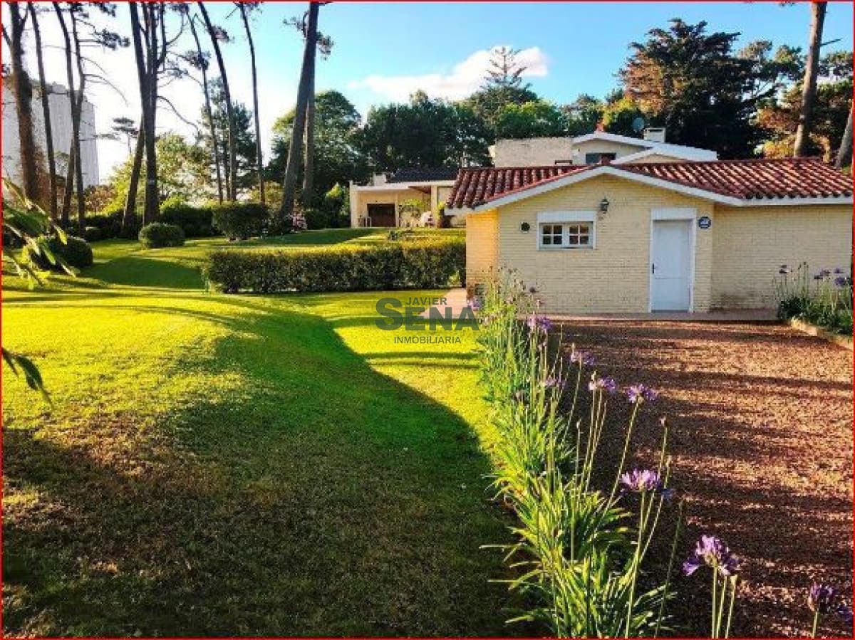 Venta de lote en la Roosevelt, son 3900m2 de tierra para construir P.H.