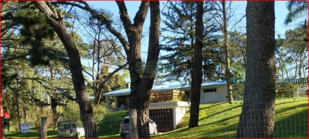 Venta y alquiler en Lugano, 5 dormitorios, 4 baños, piscina climatizada.