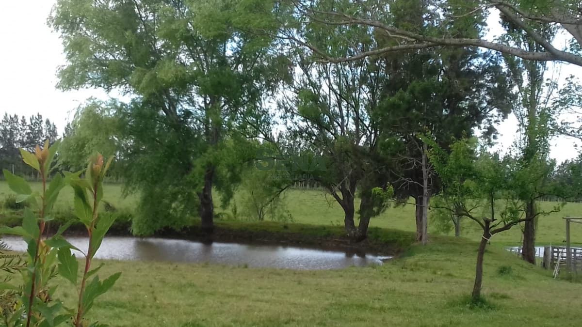 Venta de Chacra Ruta 39, a pocos kmt. de Maldonado , 8 Hectareas y media