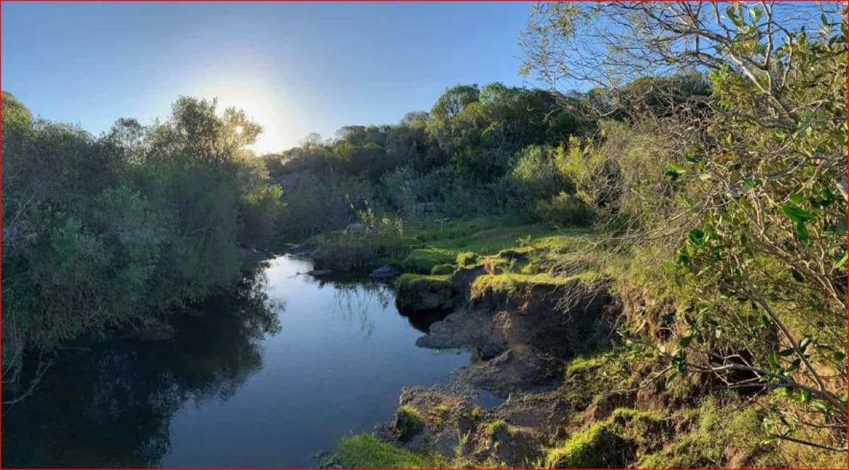 Venta de chacras en ruta 109, son chacras de 5 hectareas, con camino y buen acceso.
