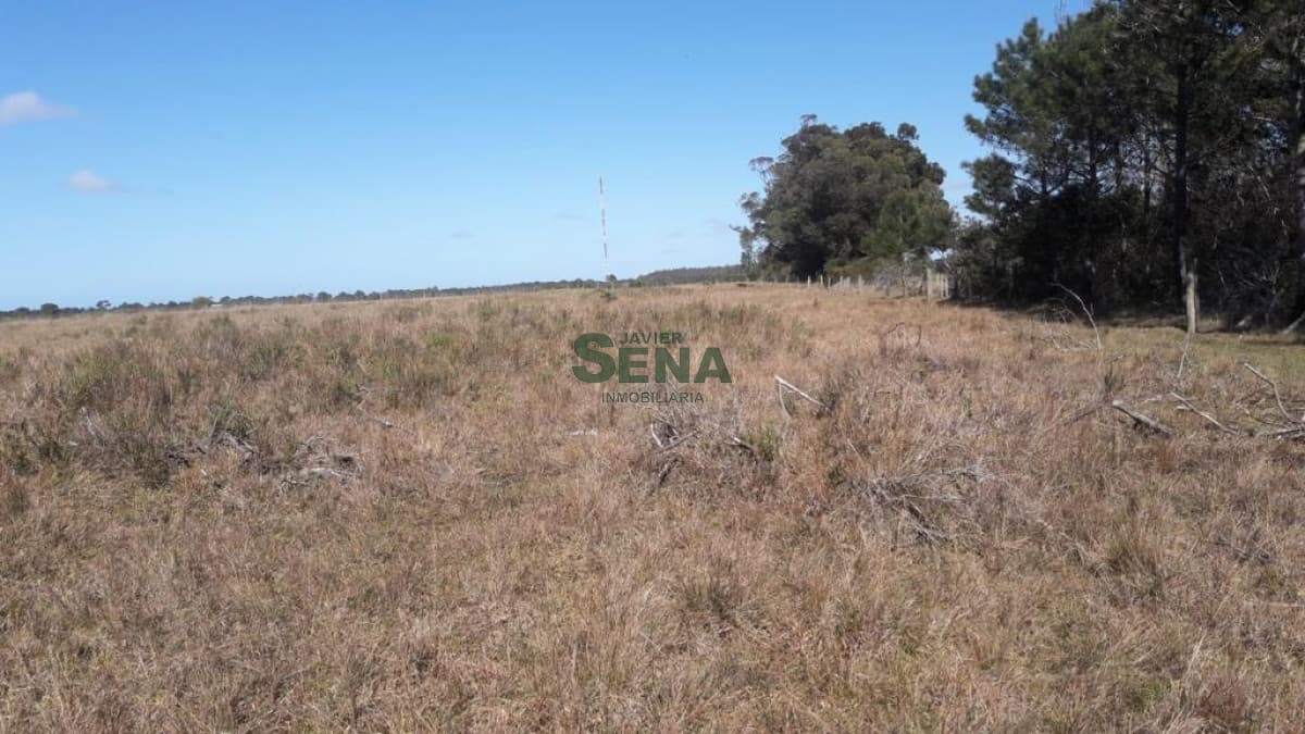Venta de chacra en Cabo Polonio, 10 hectareas sobre ruta 10, a metros del mar.