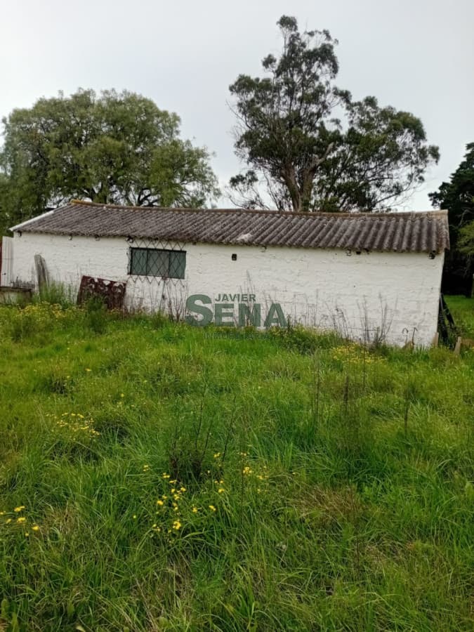Chacra en venta en San Carlos, 2.900 hectareas, casa y galpon.