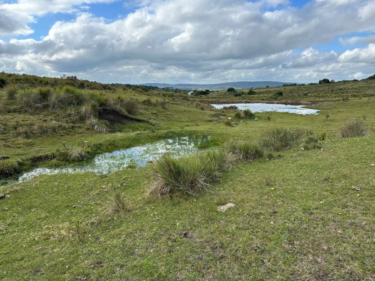Venta de chacra en Carapé con tajamar, 5 hectareas, muy lindo lugar.