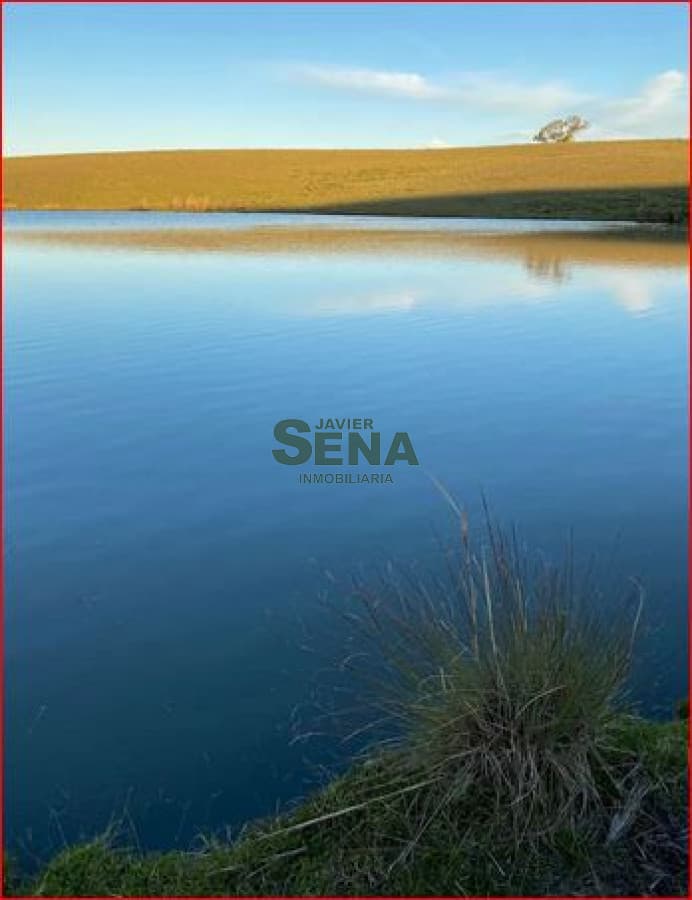 Venta de chacra en Garzon, son 8 hectareas con buenas vista y agua.