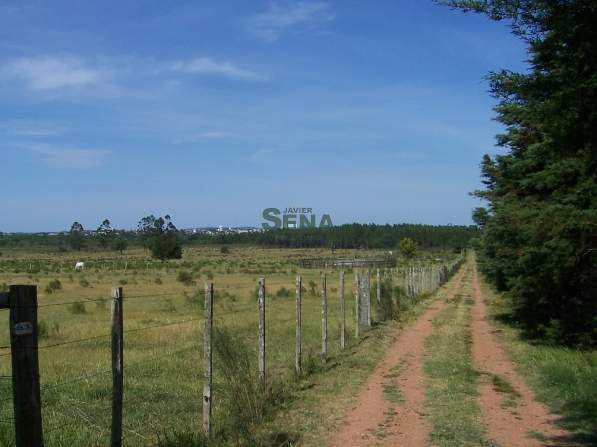 Venta de chacra en San Carlos, 5 Hectareas, con arroyo, arbolados, sobre ruta, para fraccionar.
