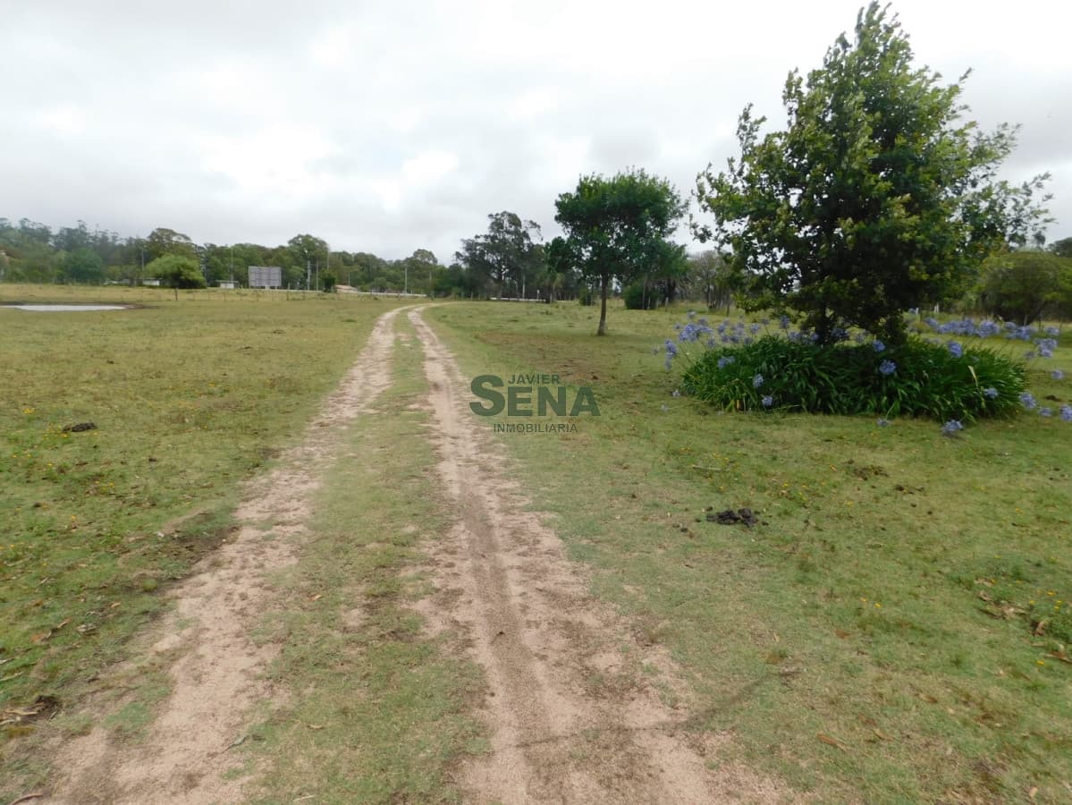 Venta de chacra de 35 hectareas, 3 dormitorios, lindo lugar.
