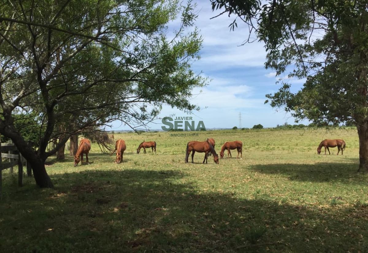 Venta de chacra en Laguna del Sauce, 5 hectareas cerca del mar.