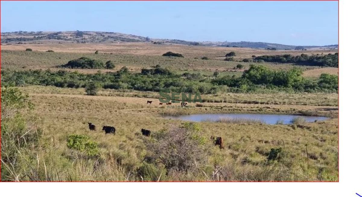 Venta de campo en Garzon, 38 hectareas con casa, buena agua y acceso.