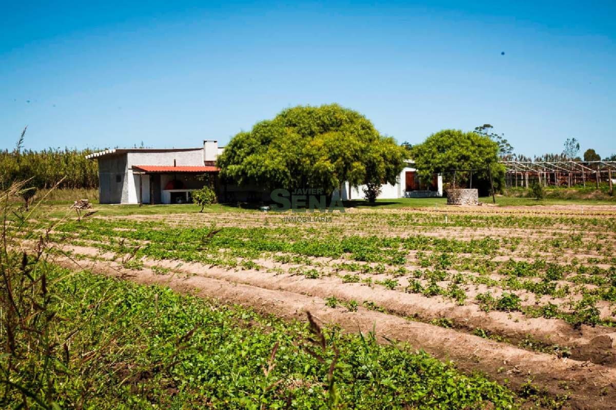 Venta de chacra en Canelones, Atlantida divina chacra a pocas cuadras de la ciudad.