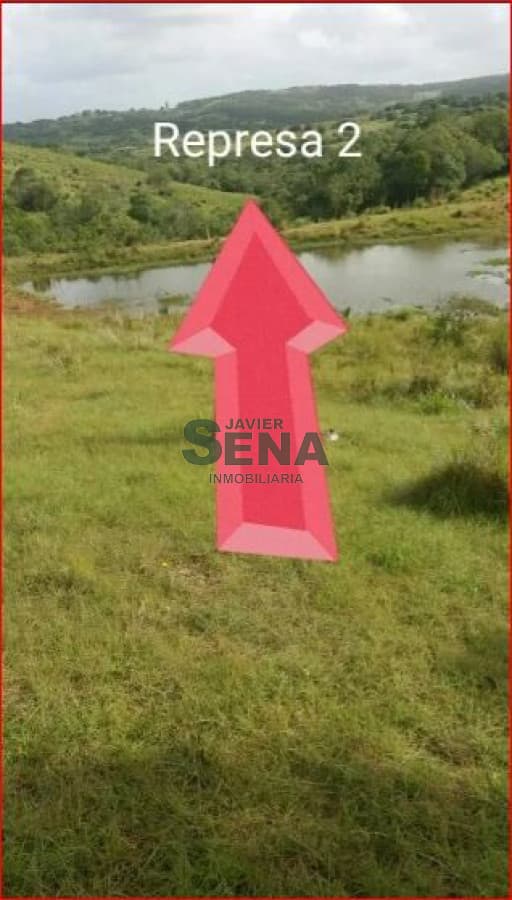 Venta de chacra en rocha, 6 hectareas.