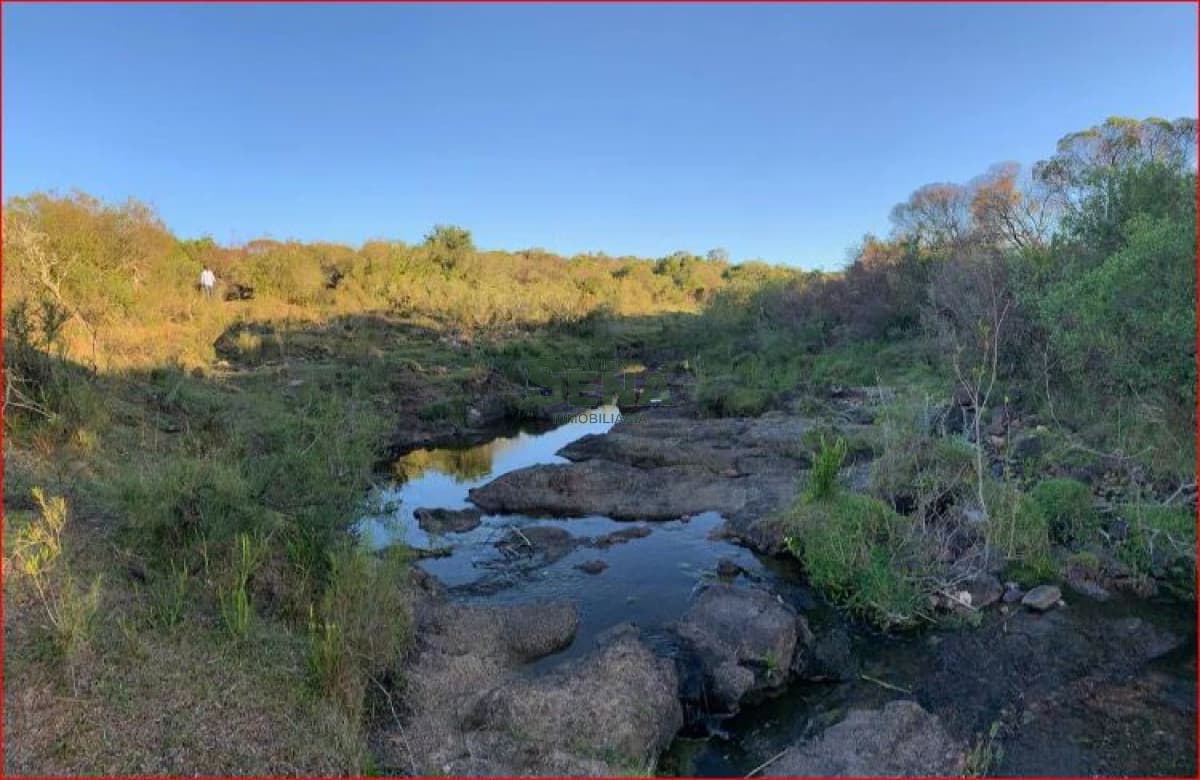 Venta de chacras en ruta 109, son chacras de 5 hectareas, con camino y buen acceso.