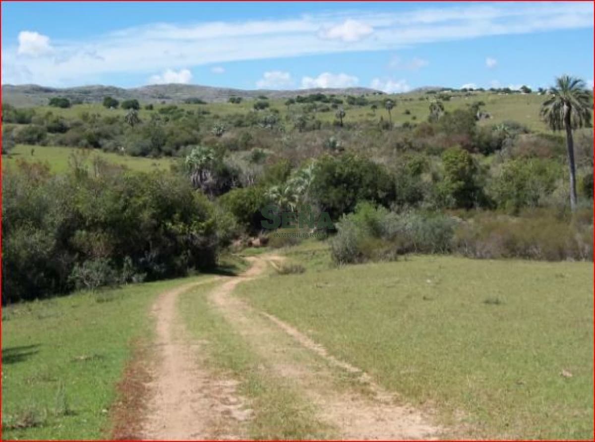 Venta de chacra en la Barra, 16 hectareas con arroyo y buen acceso.