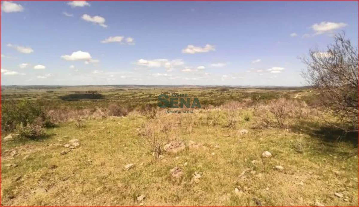 Venta de chacra en los Talas, 5 hectareas con arboles.