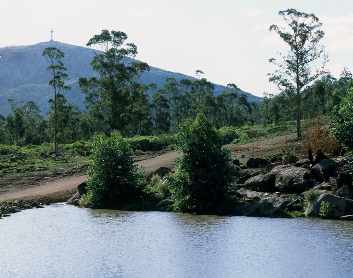 Venta de chacra en Piriápolis 49 hectareas con vista al cerro y a la bahía.