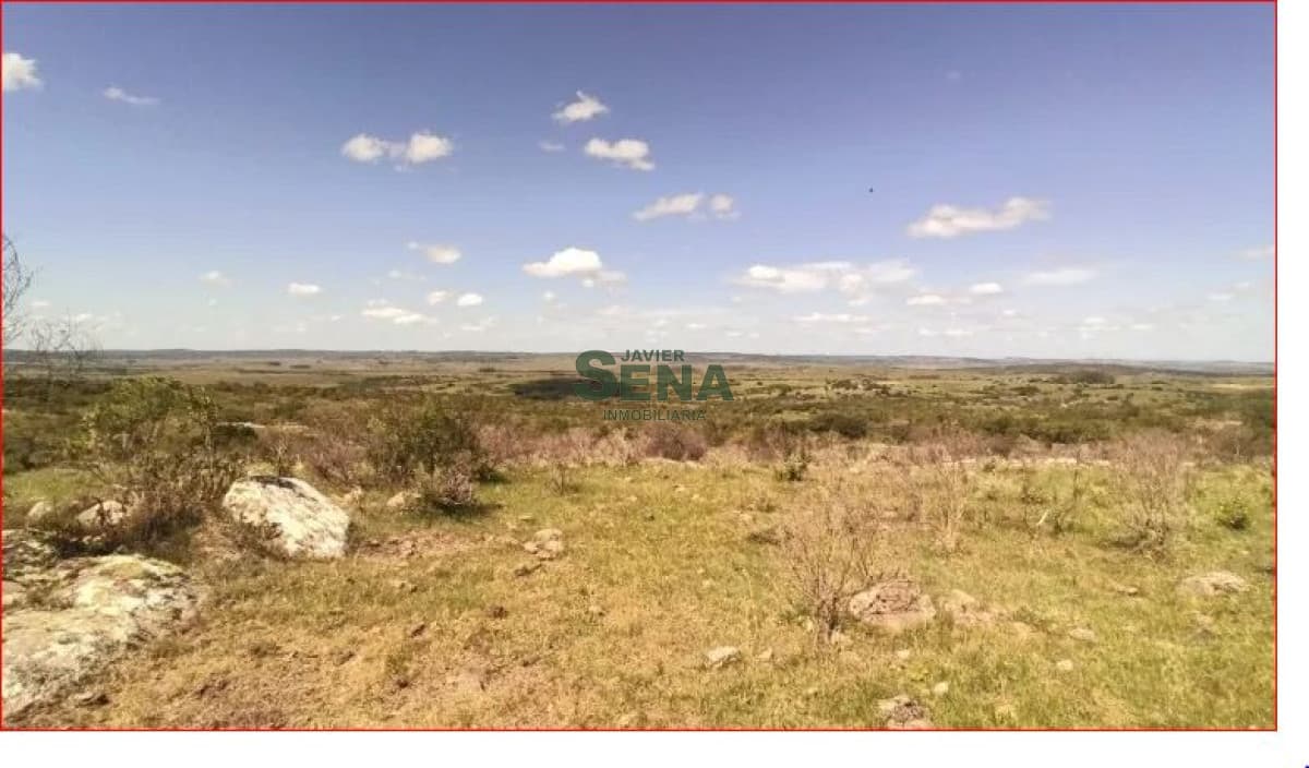 Venta de chacra en los Talas, 5 hectareas con arboles.