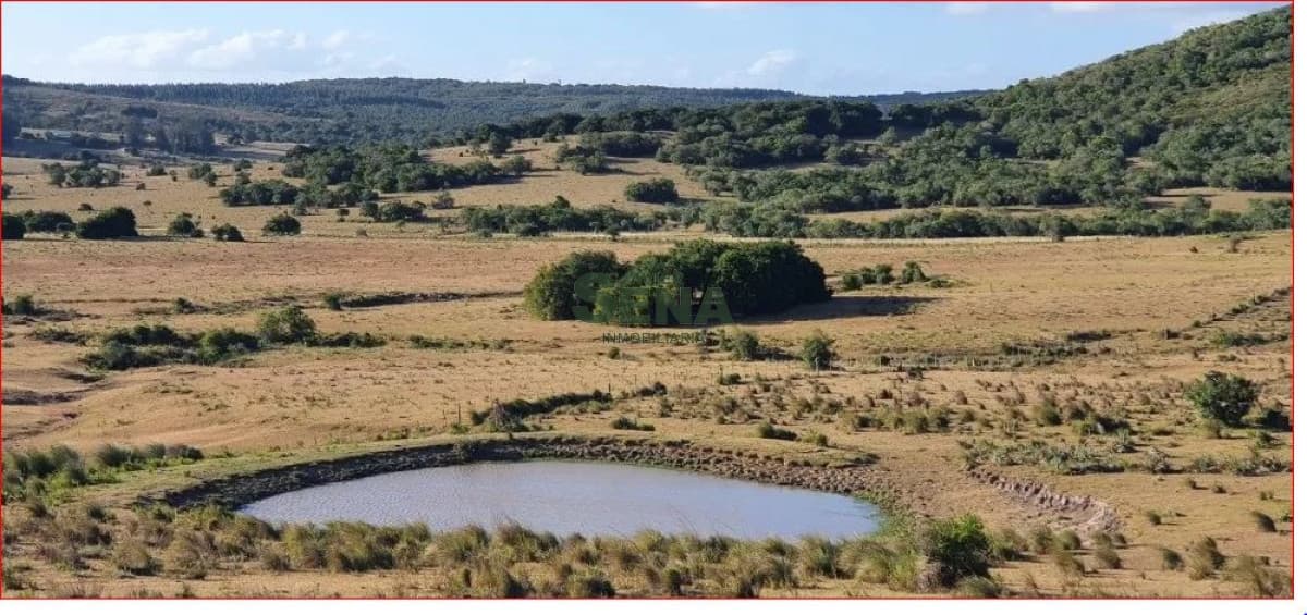 Venta de campo en Garzon, 38 hectareas con casa, buena agua y acceso.