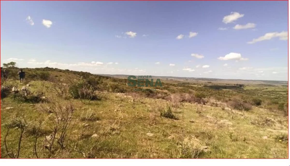 Venta de chacra en los Talas, 5 hectareas con arboles.
