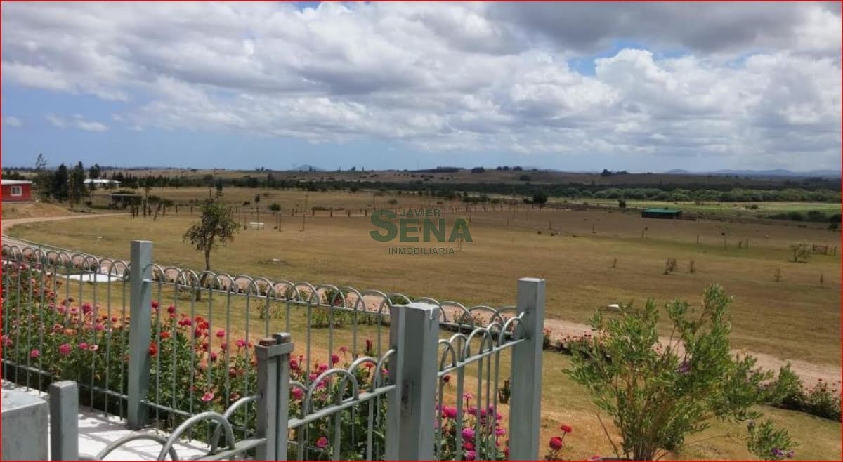 Venta de chacra en la ruta 9, 8 Hectareas, 4 dormitorios, buen acceso.