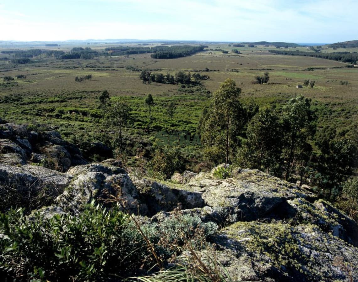 Venta de chacra en Piriápolis 49 hectareas con vista al cerro y a la bahía.