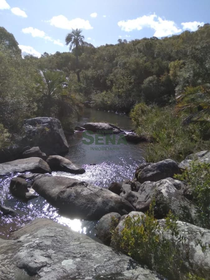 Venta de chacra en las cañas, 10 hectareas con cañada y mejoras.