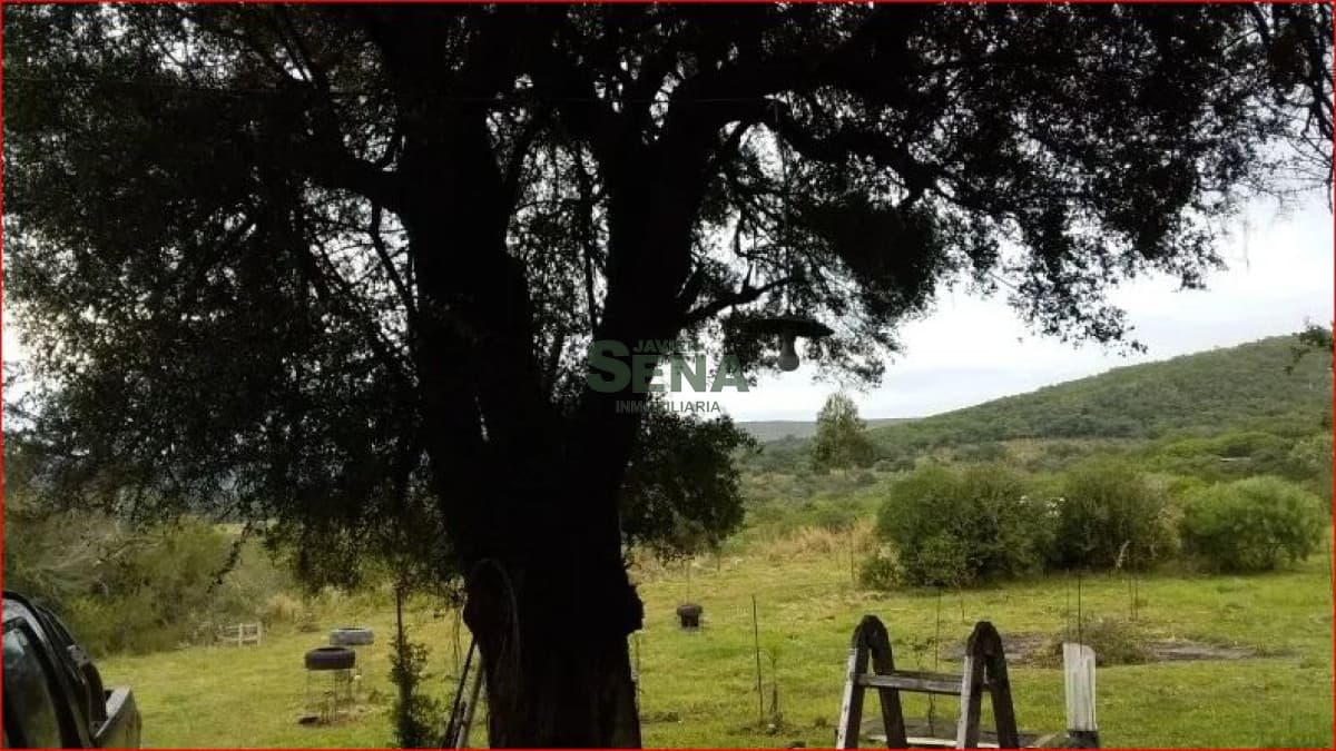 Venta de chacra en rocha, 6 hectareas.