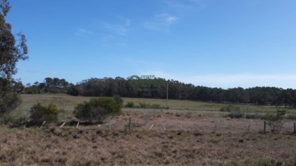 Venta de chacra en Cabo Polonio, 10 hectareas sobre ruta 10, a metros del mar.