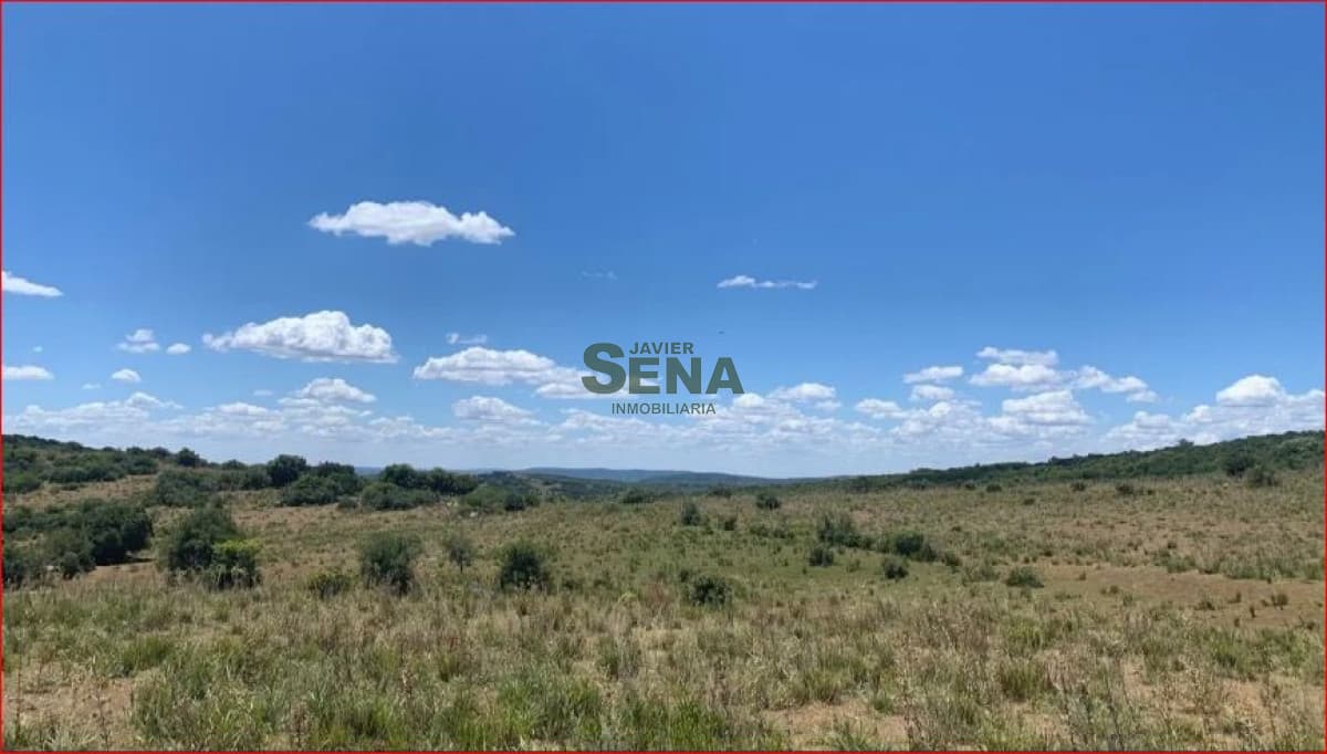 Venta de chacras en ruta 109, son chacras de 5 hectareas, con camino y buen acceso.