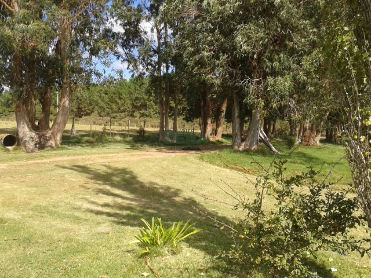 Venta de chacra en Maldonado a 5 kilometros, 5 hectareas, con buena casa