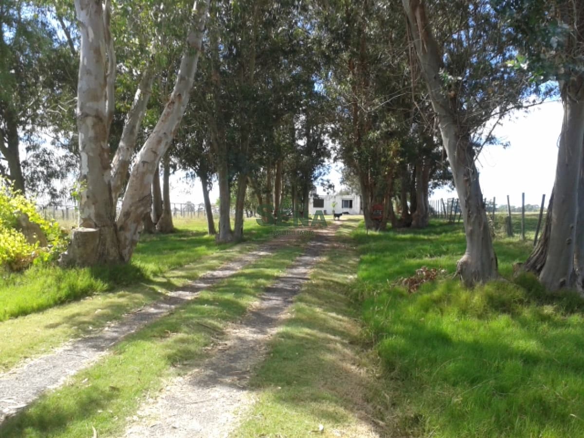 Venta de chacra en Maldonado a 5 kilometros, 5 hectareas, con buena casa