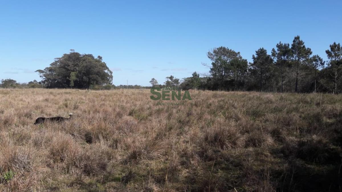 Venta de chacra en Cabo Polonio, 10 hectareas sobre ruta 10, a metros del mar.