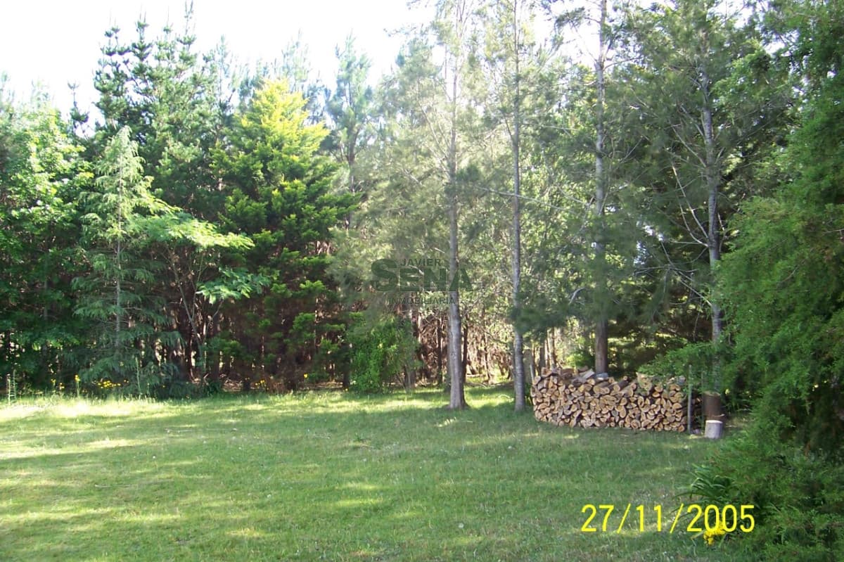 Venta de chacra en San Carlos, 5 Hectareas, con arroyo, arbolados, sobre ruta, para fraccionar.