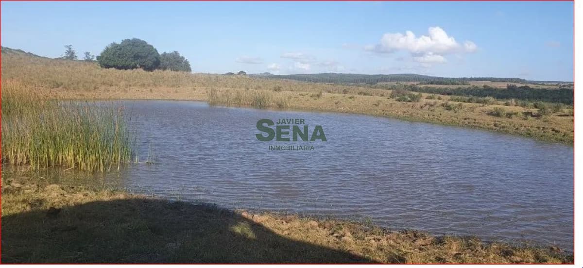 Venta de campo en Garzon, 38 hectareas con casa, buena agua y acceso.