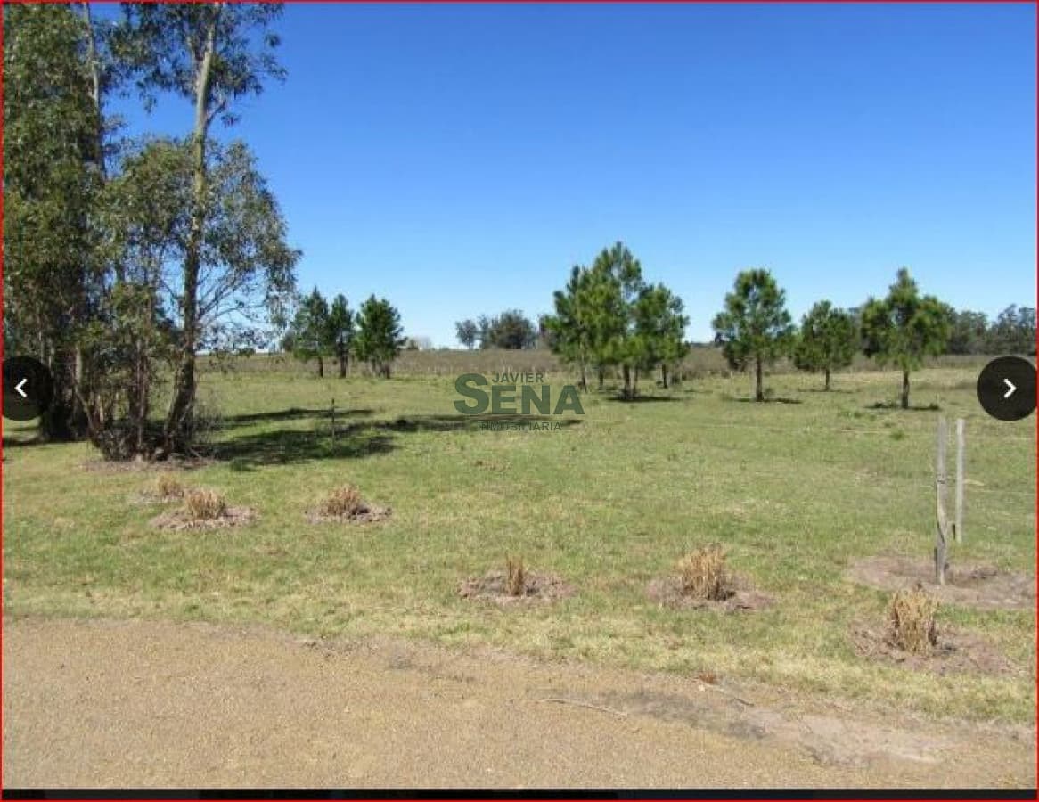 Venta de chacra en Ruta 9 de 70 Hectareas. 2 dormitorios, baño.
