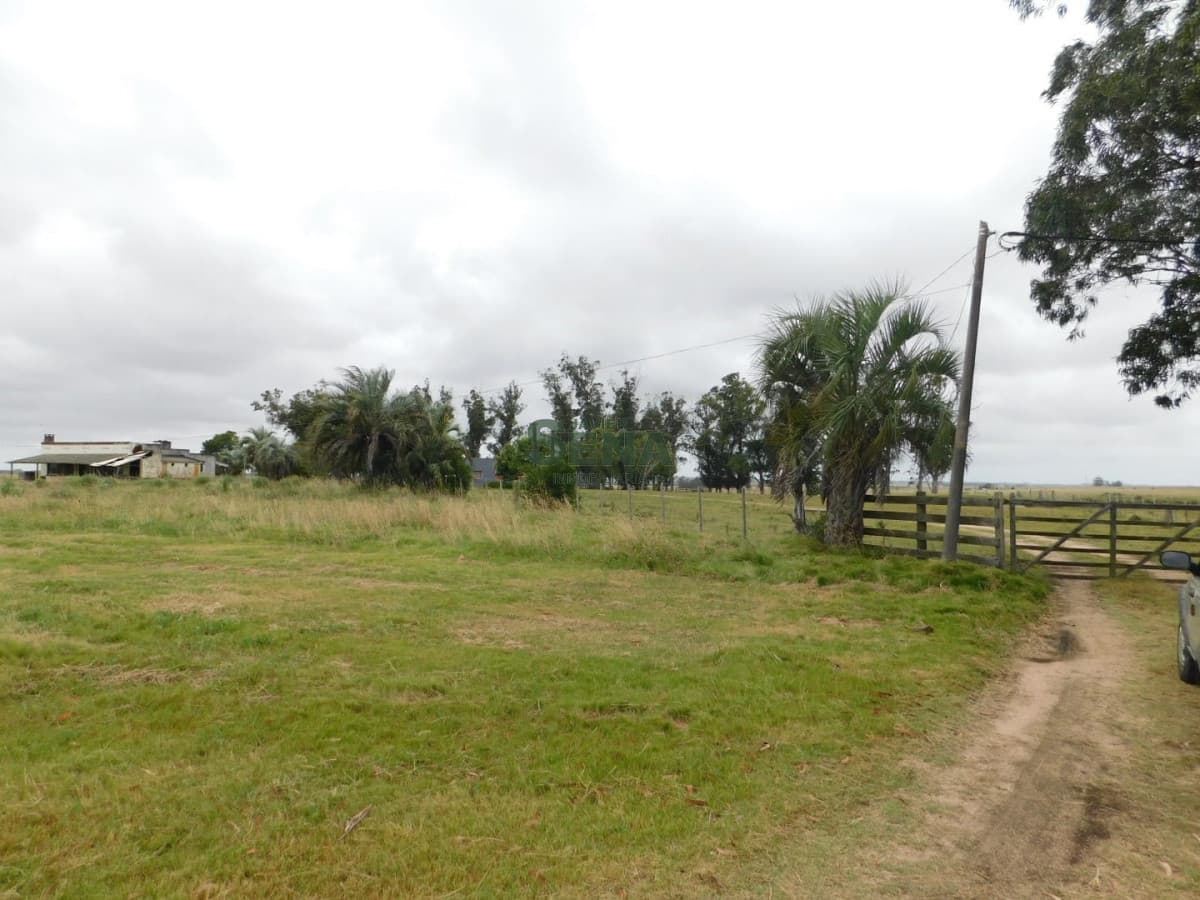 Venta de chacra de 35 hectareas, 3 dormitorios, lindo lugar.