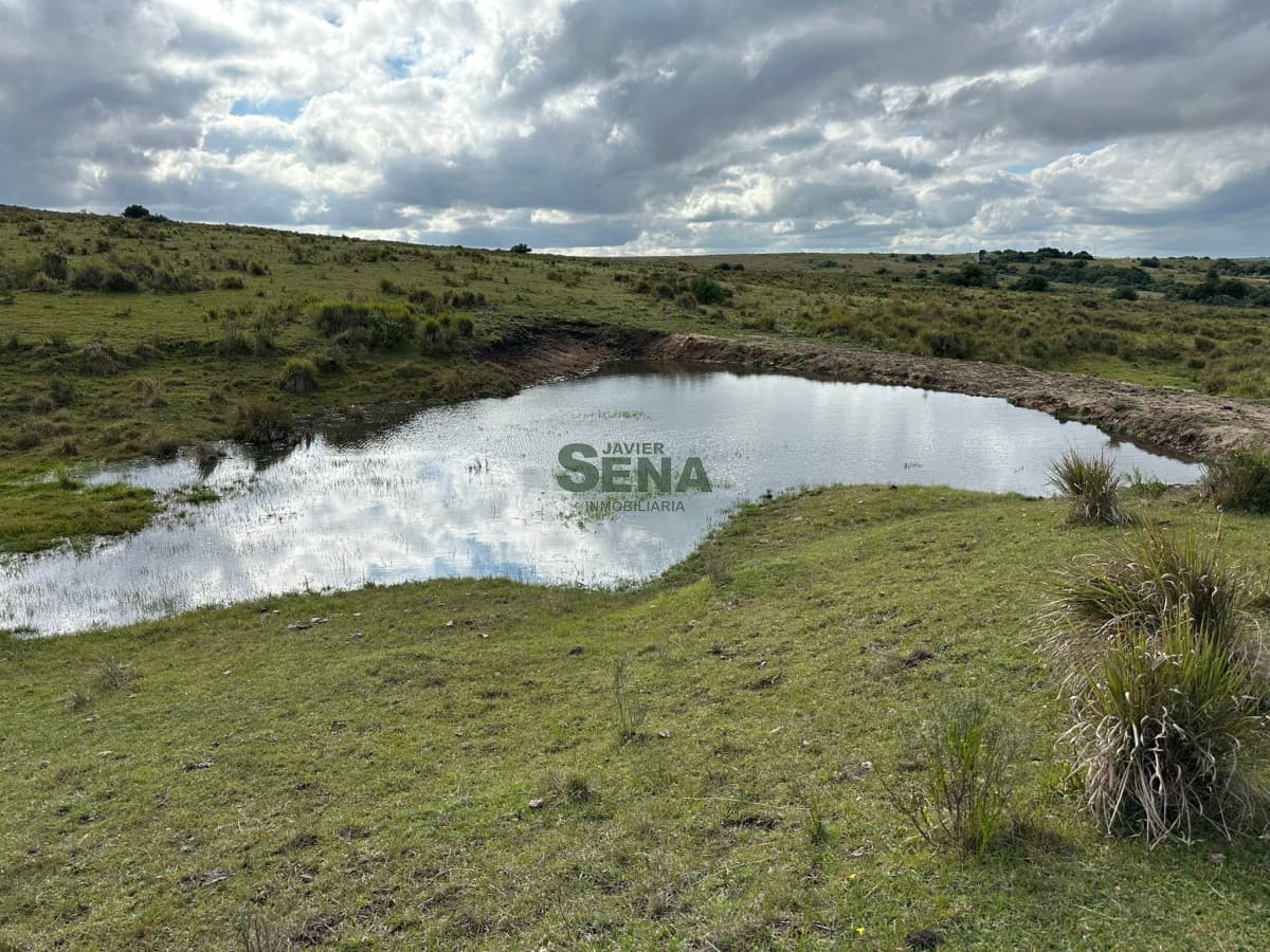Venta de chacra en Carapé con tajamar, 5 hectareas, muy lindo lugar.