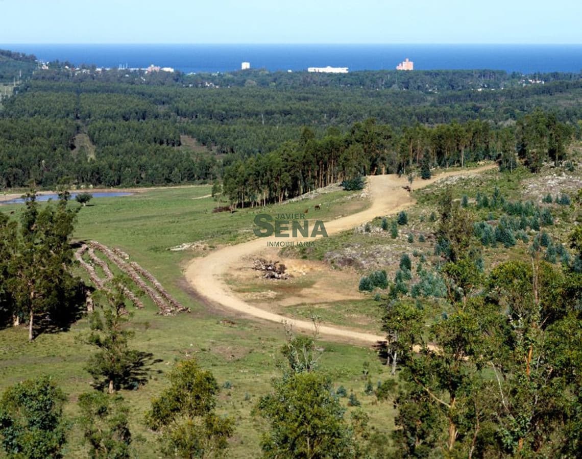Venta de chacra en Piriápolis 49 hectareas con vista al cerro y a la bahía.