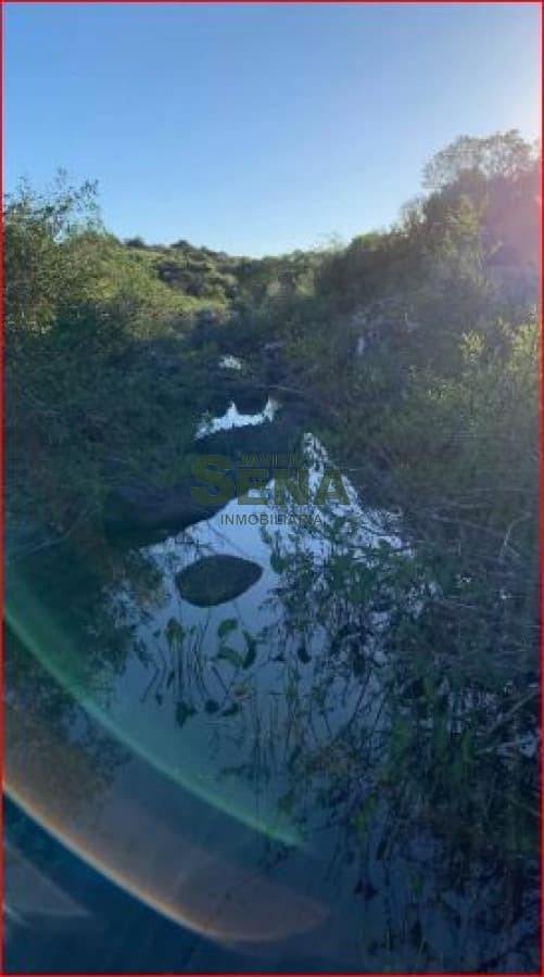 Venta de chacras en ruta 109, son chacras de 5 hectareas, con camino y buen acceso.
