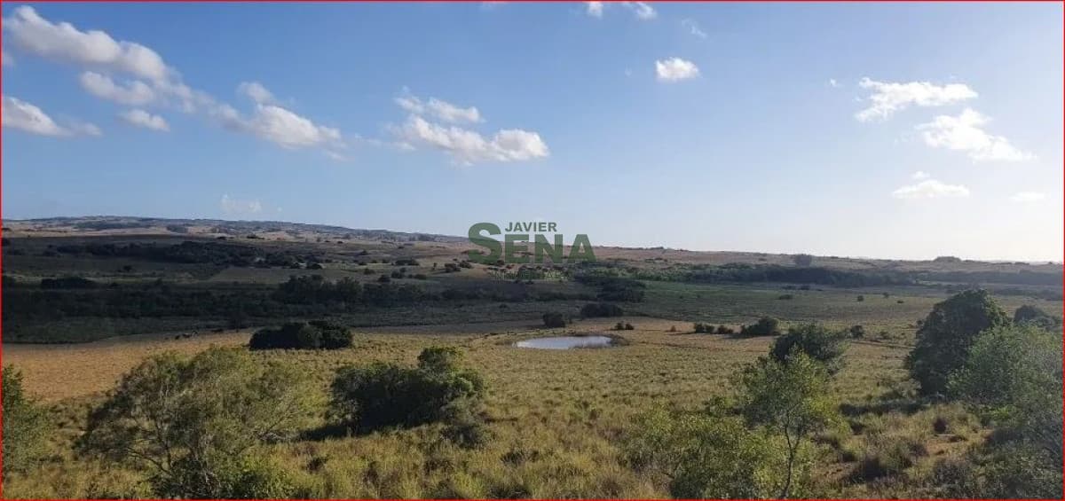 Venta de campo en Garzon, 38 hectareas con casa, buena agua y acceso.