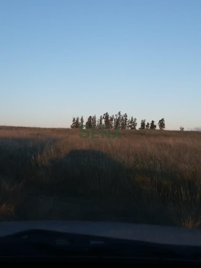 Venta de cxhacra en Ruta 39, a 7 kilometros de San Carlos.