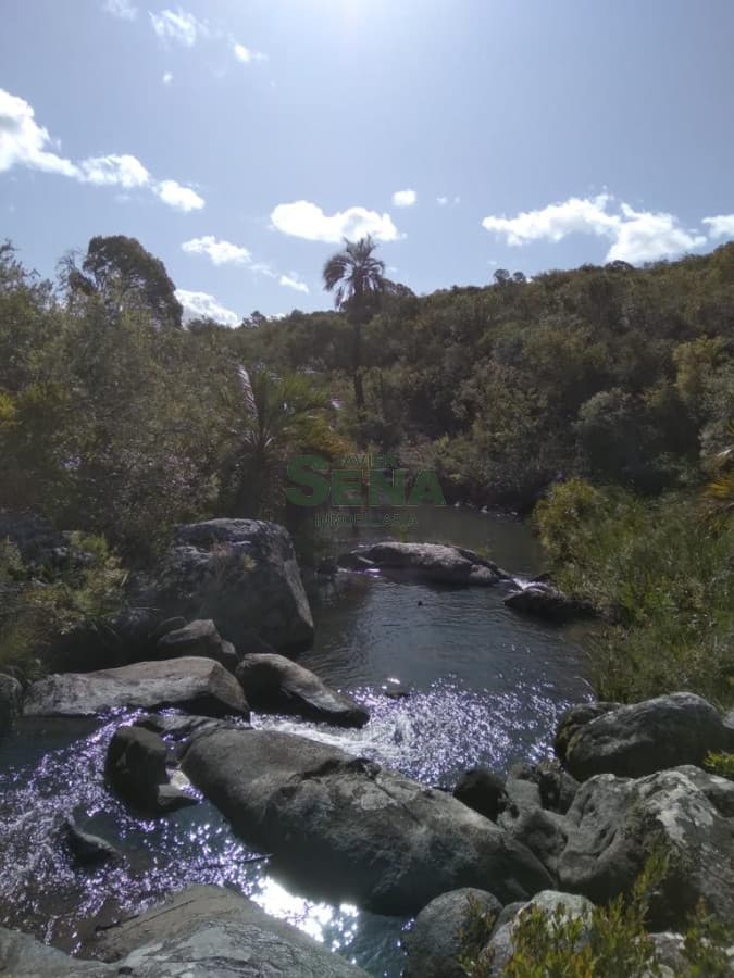 Venta de chacra en las cañas, 10 hectareas con cañada y mejoras.
