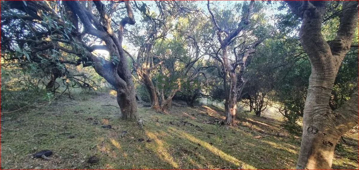 Venta de campo en Garzon, 38 hectareas con casa, buena agua y acceso.