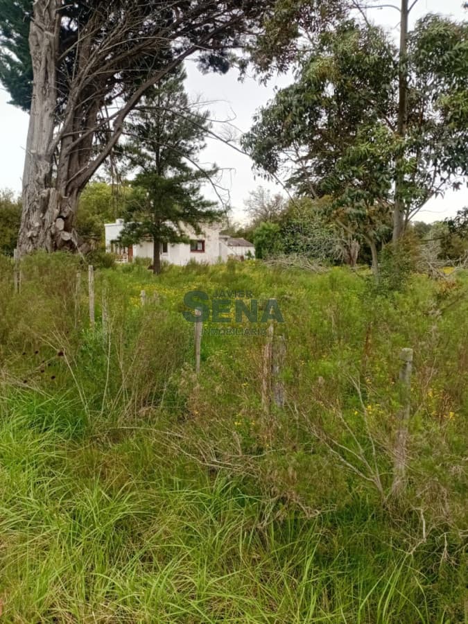 Chacra en venta en San Carlos, 2.900 hectareas, casa y galpon.