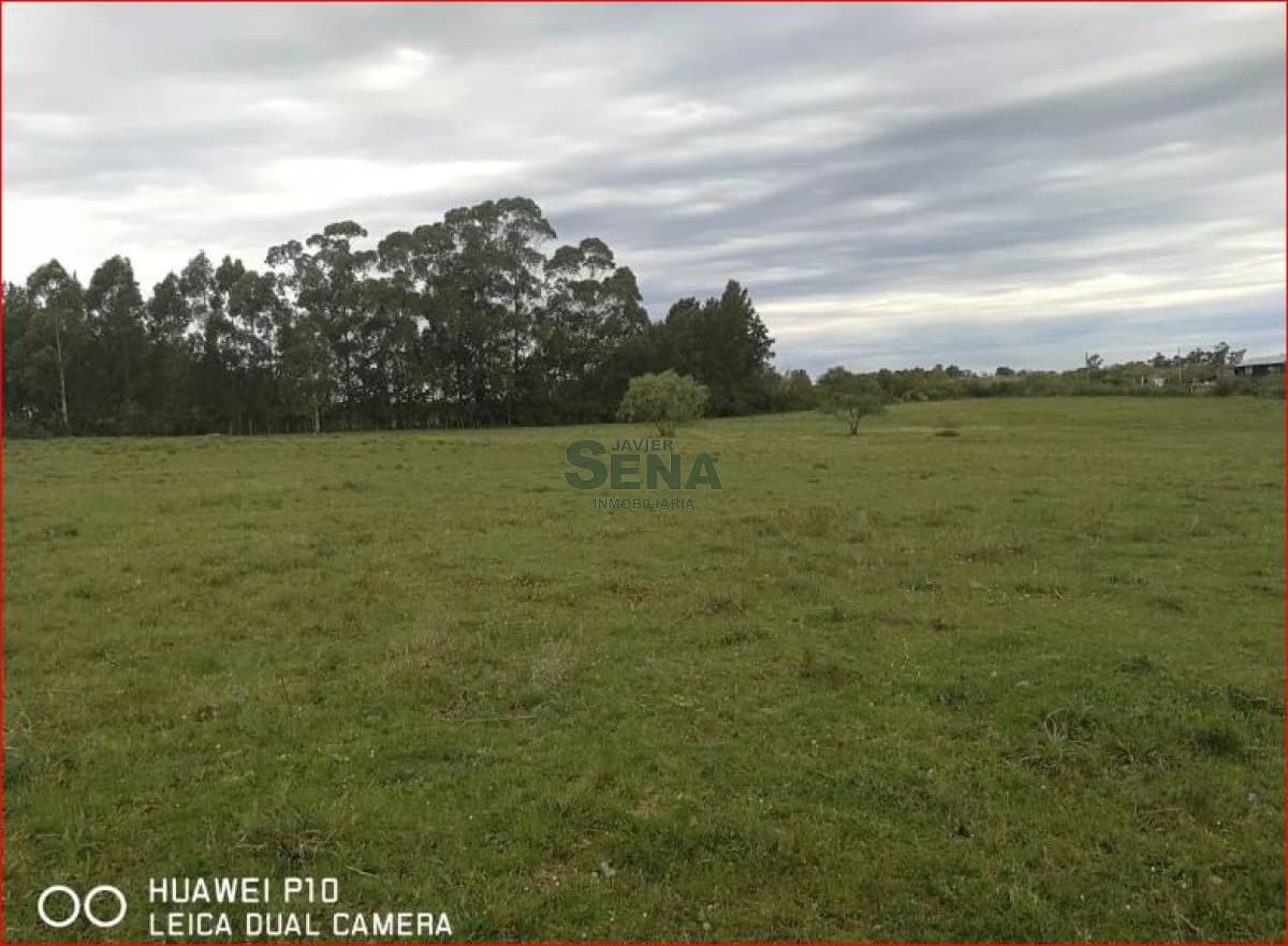 Venta de chacra en Montevideo, 3,5 Hectareas en melilla